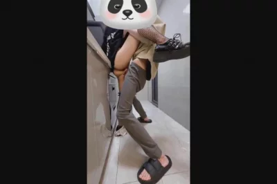 男男爱新浪博客